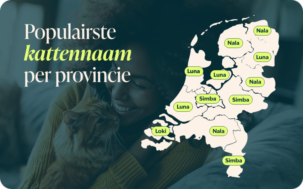 Populairste kattennamen per provincie