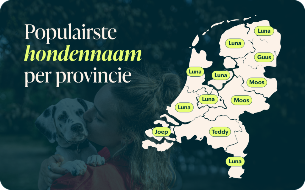 Populairste hondennamen per provincie