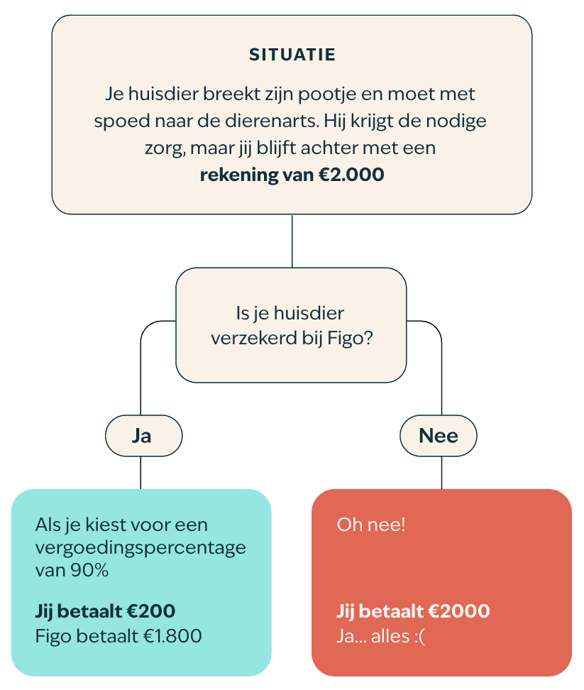 Stroomschema van dierenartskosten