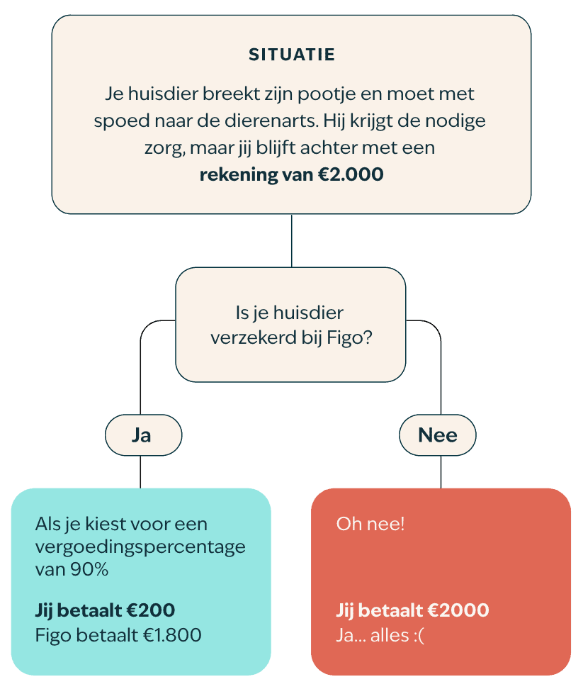Stroomschema – NL