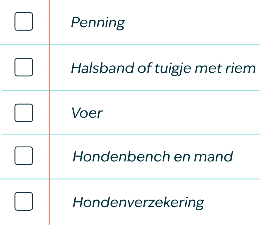Checklist NL desktop
