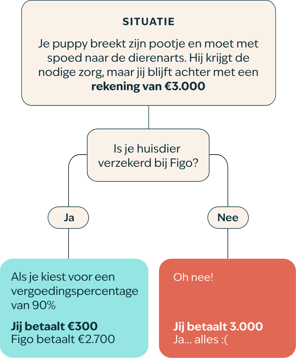 Stroomschema puppy NL