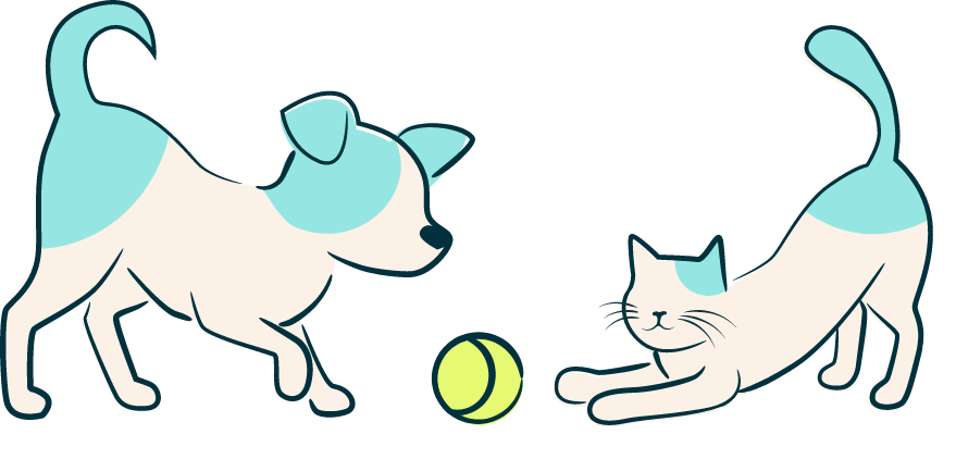 Figo illustratie 2 Puppy en kitten 1