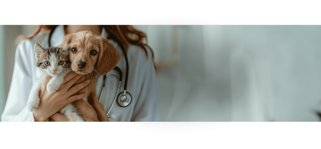 samenwerken fokker desktop hero banner