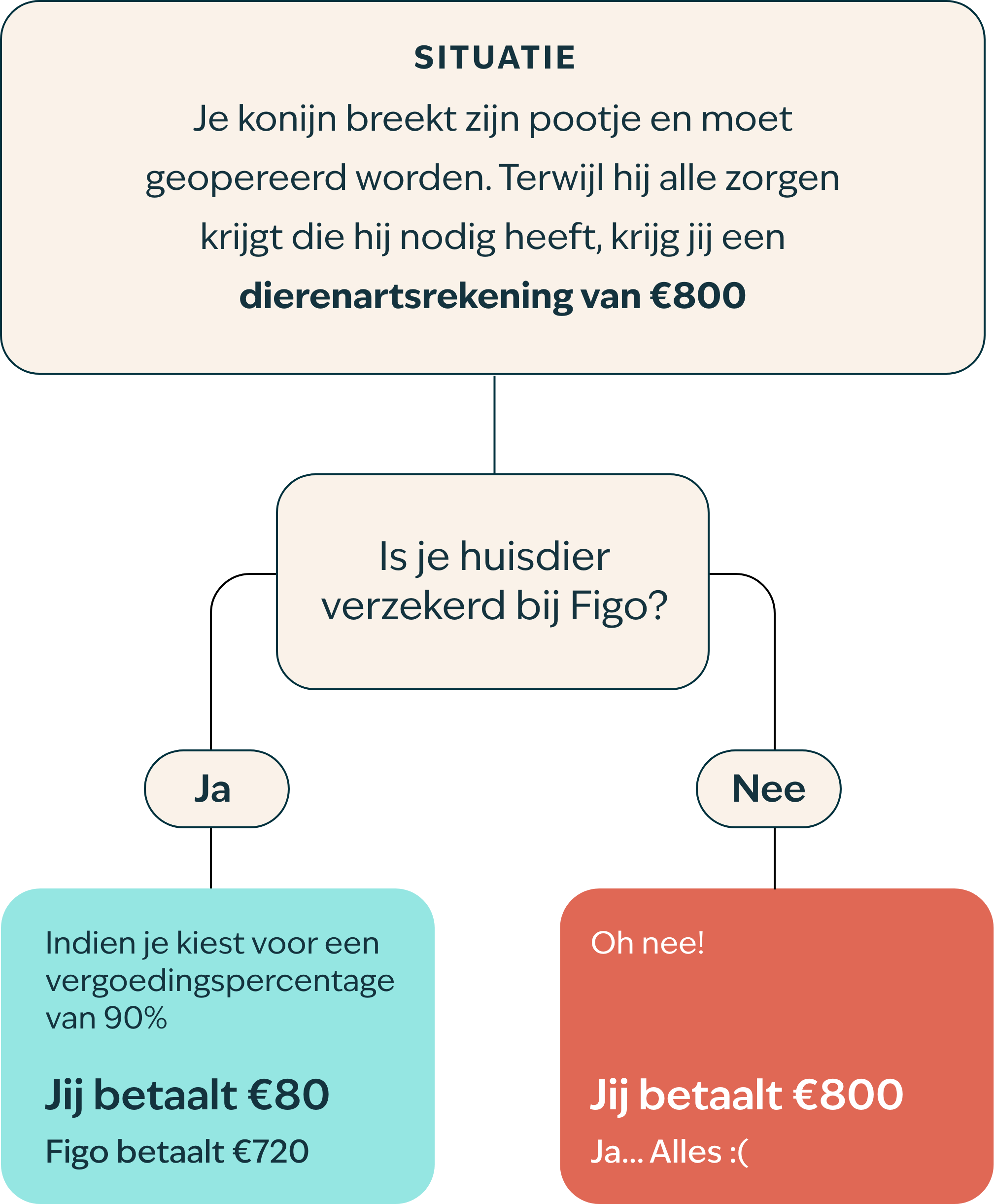 Stroomschema konijn BE NL