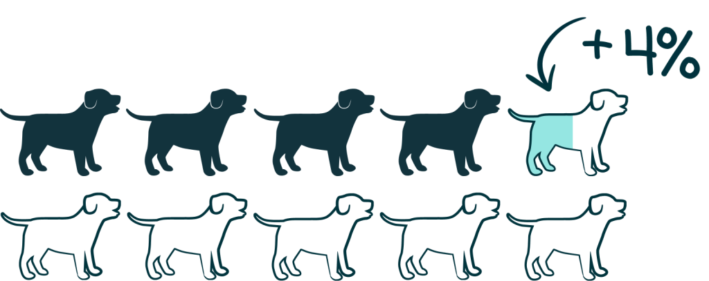 solidarity principle More customers 1