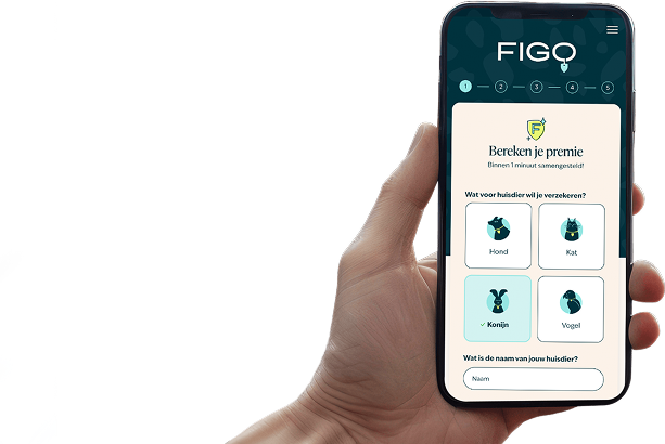 Iphone hand CatFunnel NL 2