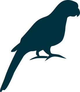 Papegaai silhouet