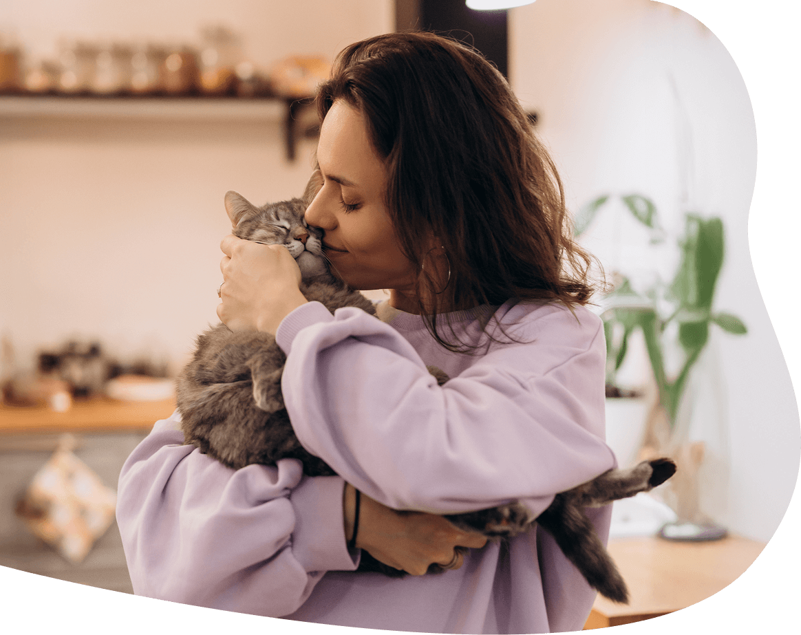 figo hero blob image 03