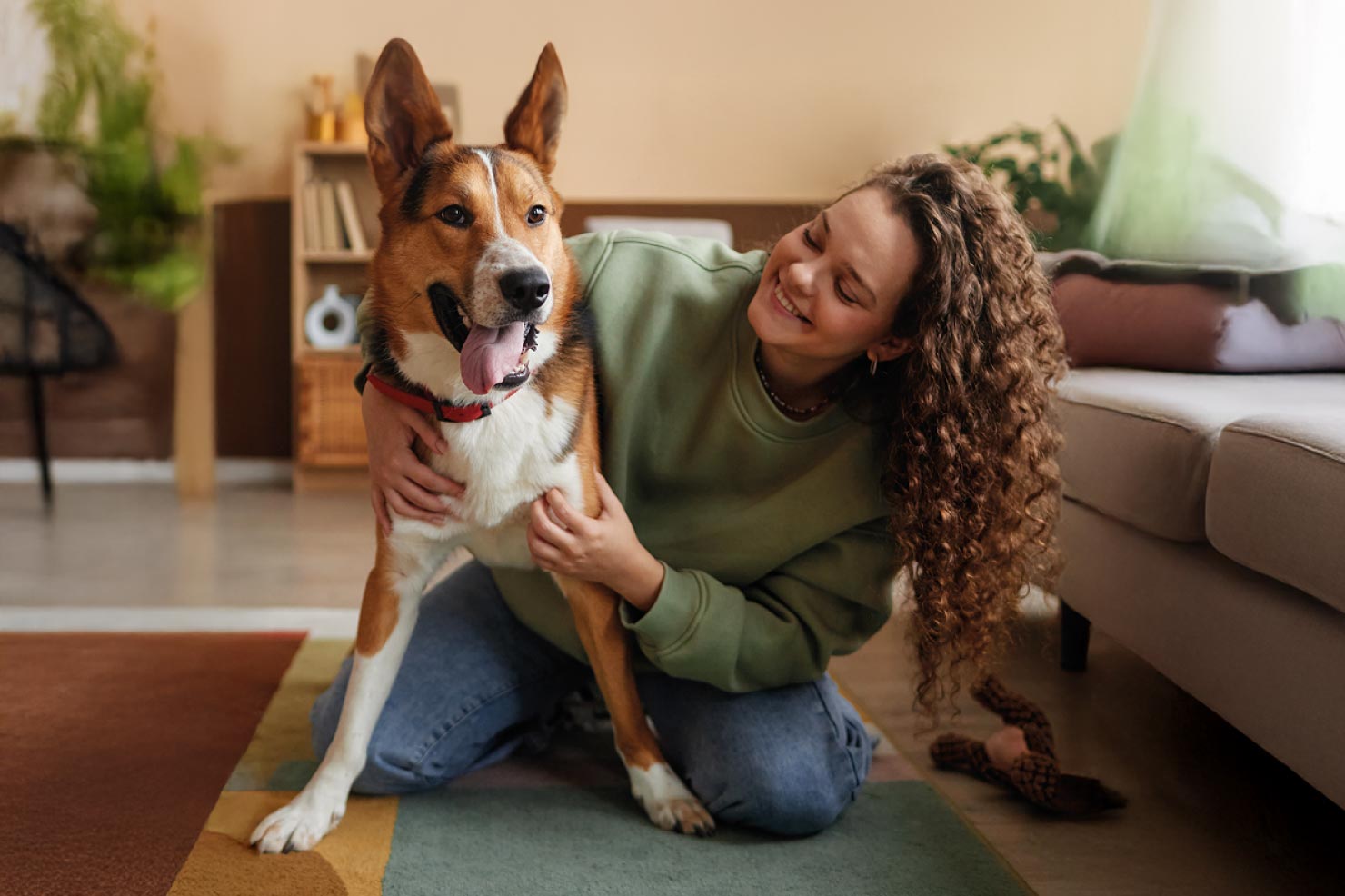 figo hero blob image mobile 02