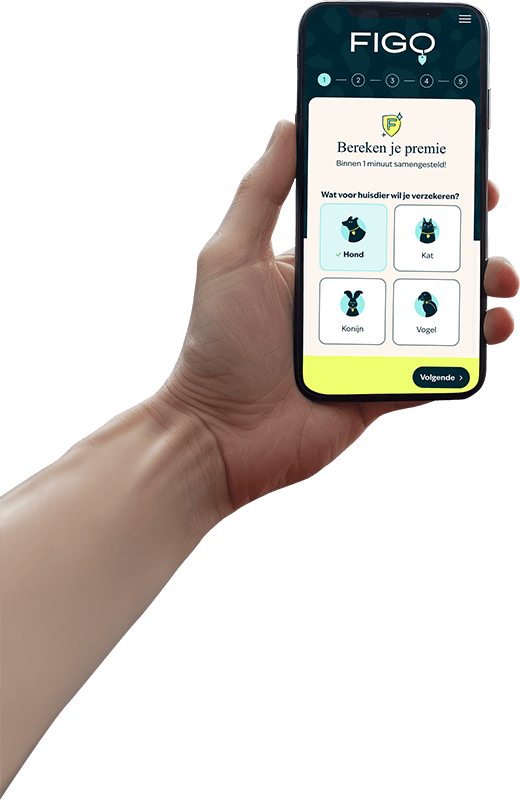 Figopet iPhone AVS Widget Foreground Mob