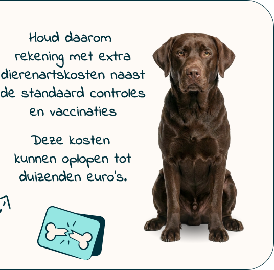Mobile-Puppy-page-Inforgrafic-puppy-Frame-6.png