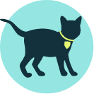 kitten icon 1