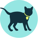 Kitten icoon