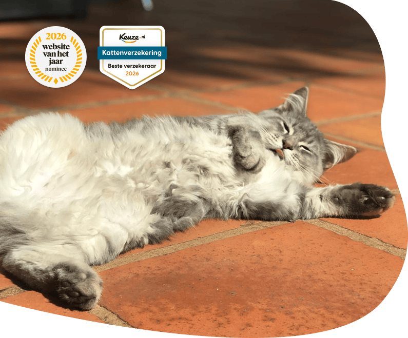 FigoPet Keuze.nl Badge 26 Kattenverzekering Desktop 1