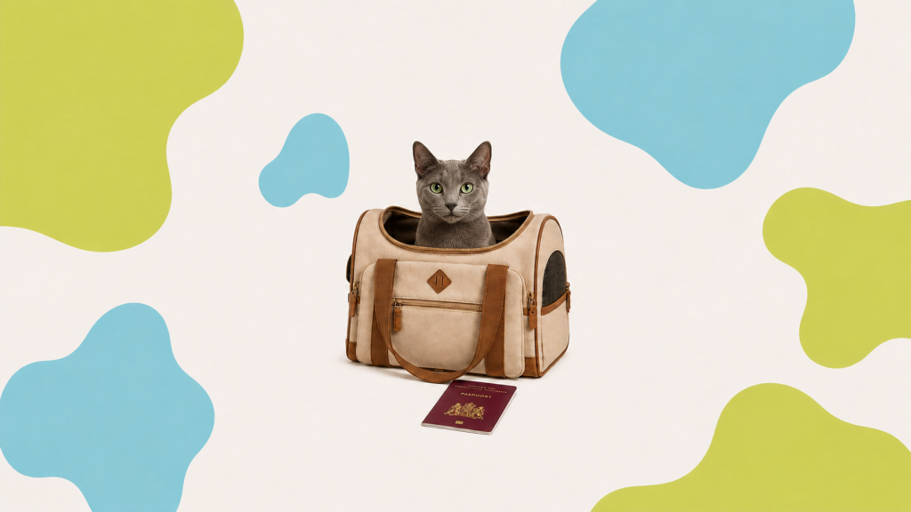 Kat in reistas met paspoort