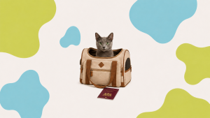 Kat in reistas met paspoort