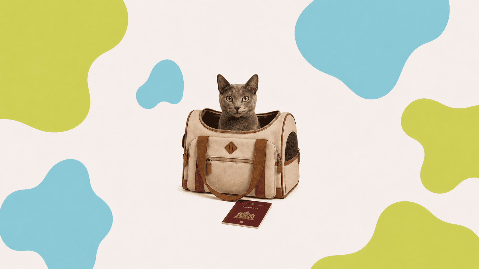 Kat in reistas met paspoort