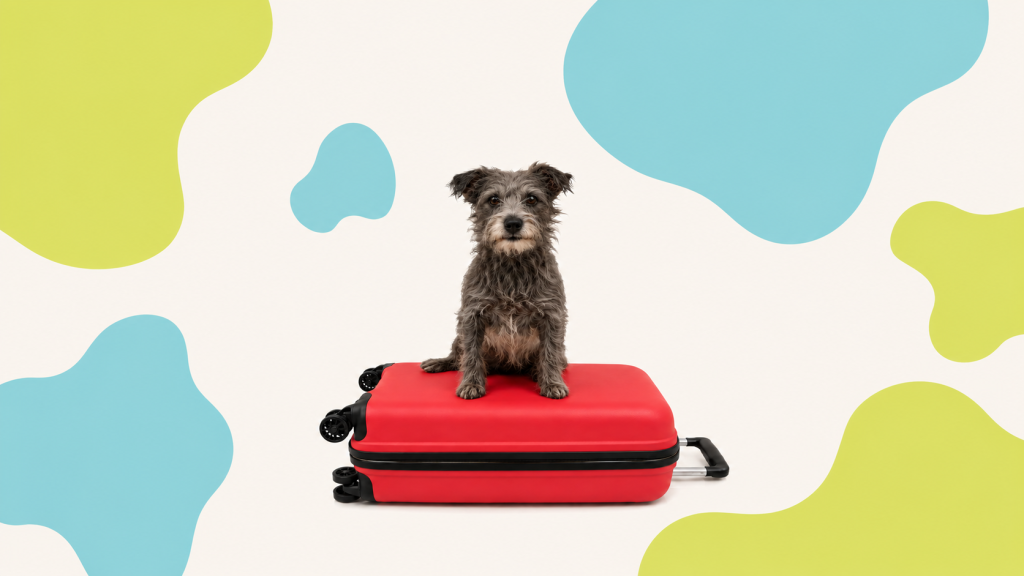Hond zittend op rode trolley