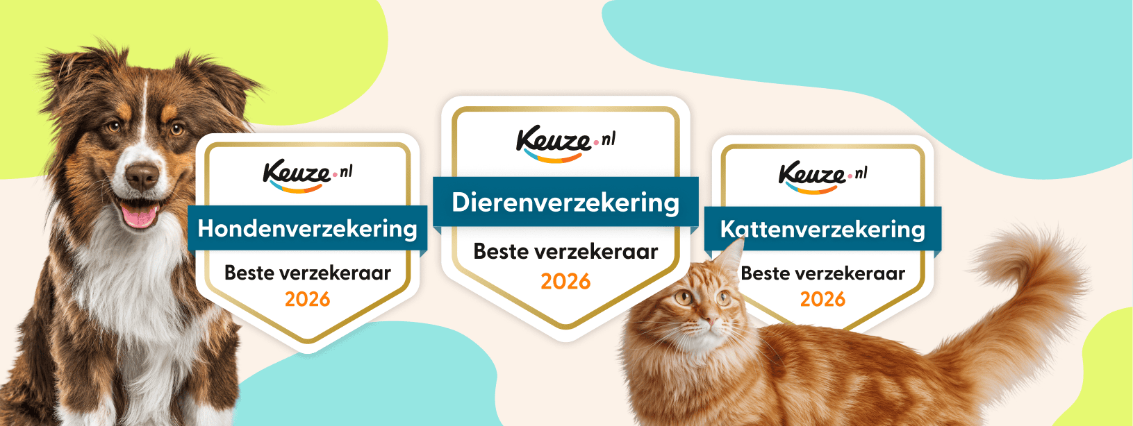 Blog Persbericht Keuze.nl banner2
