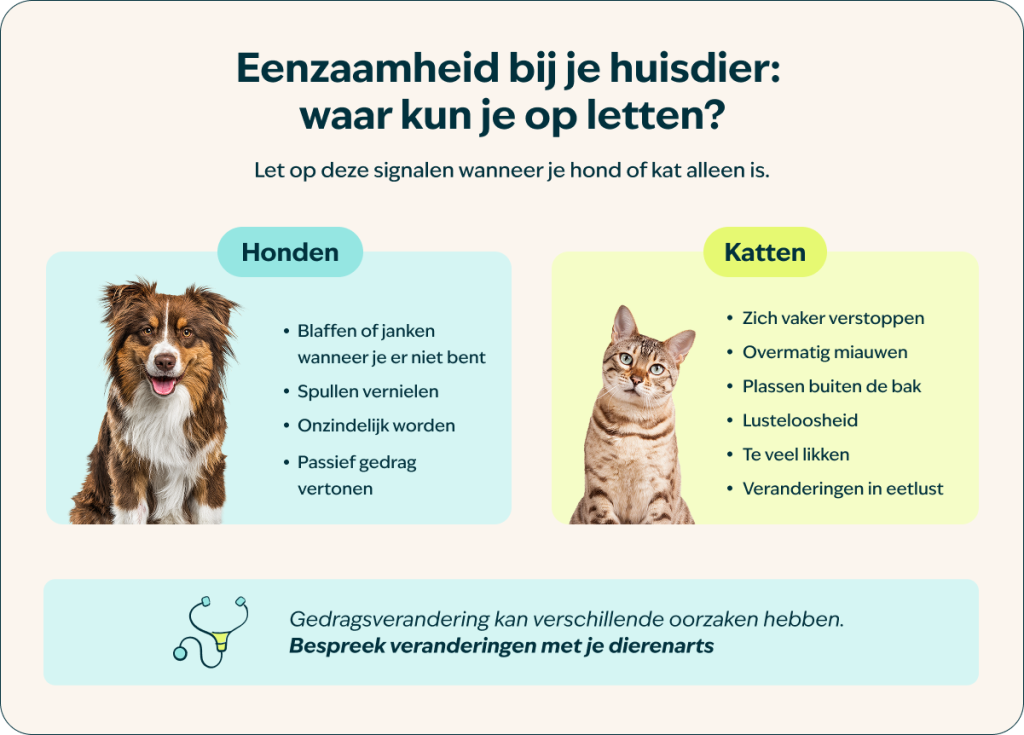Waar kun je op letten 1 1