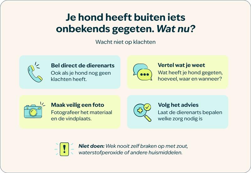 dierenarts waarschuwt baasjes na hondendoden in Schiedam
