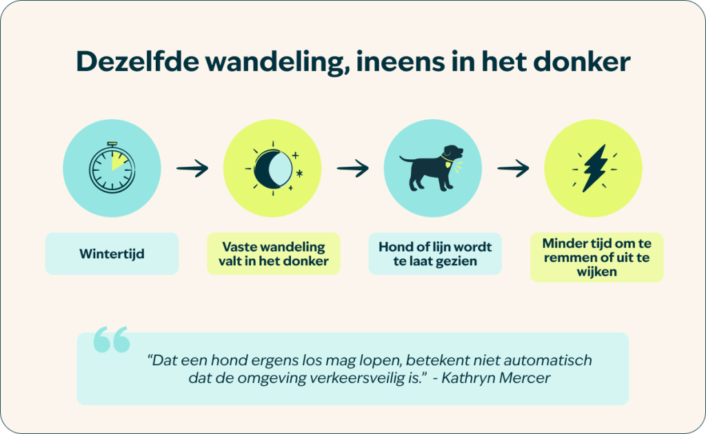 Wandeling in het donker 2 1