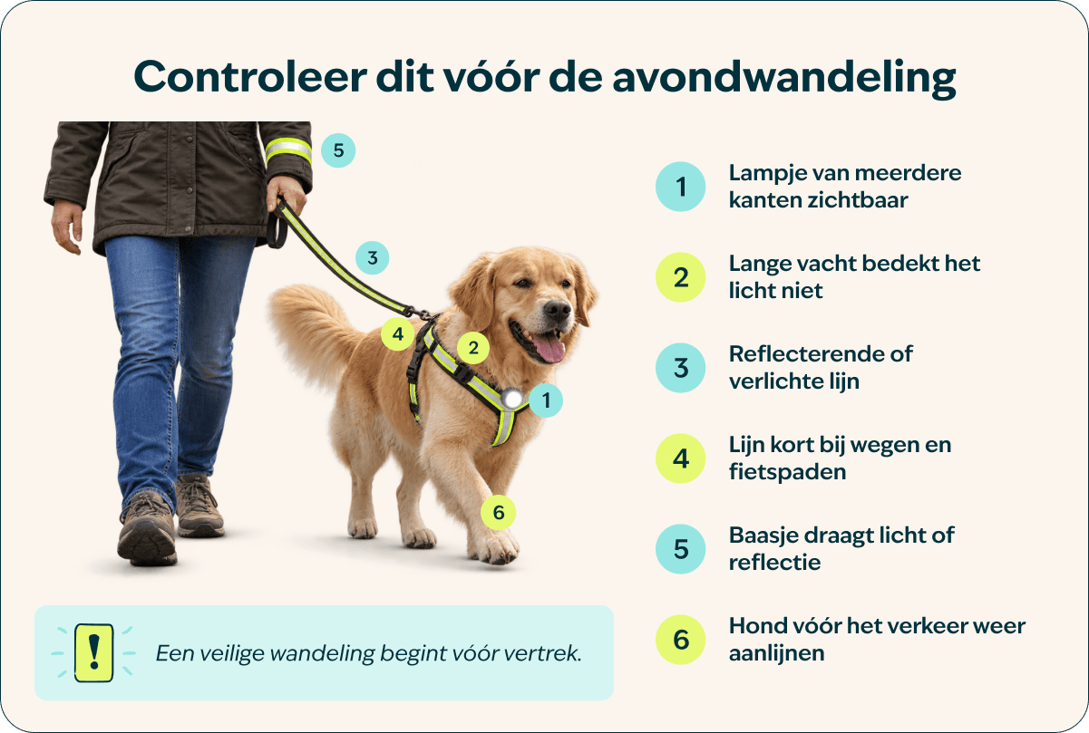 Wandeling in het donker - 3