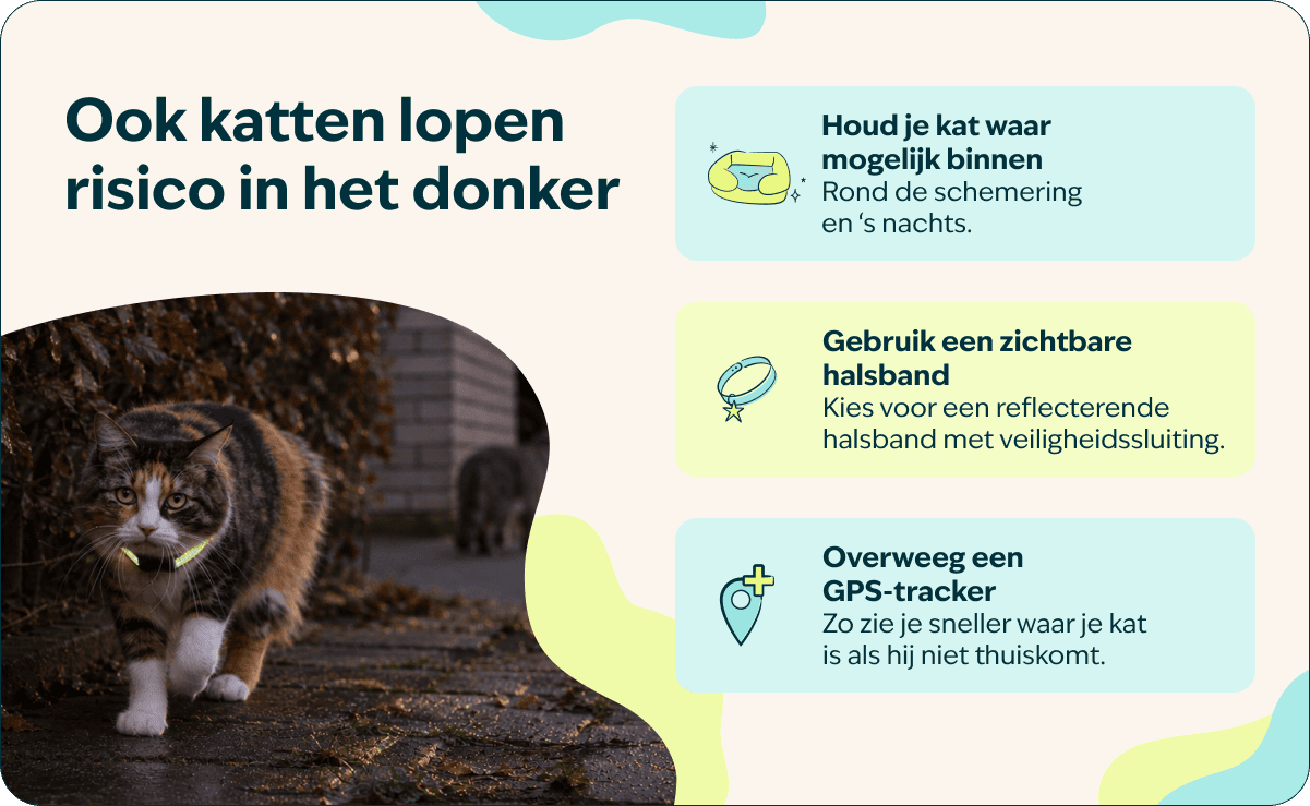 Wandeling in het donker - 4